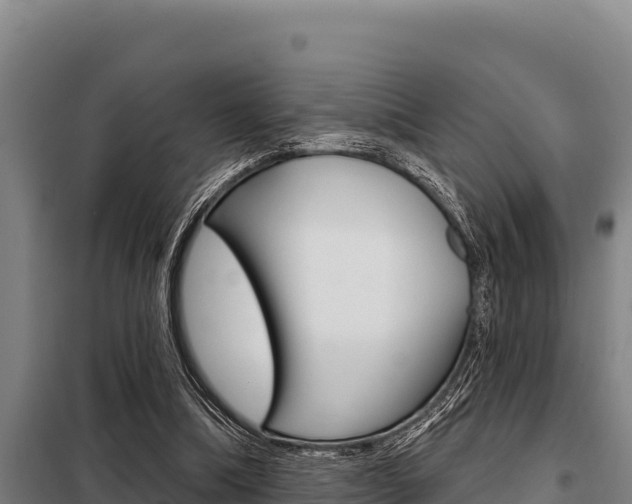 X0000098080298200804040758