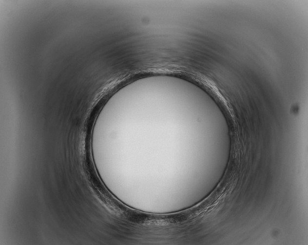 X0000098080299200804040758