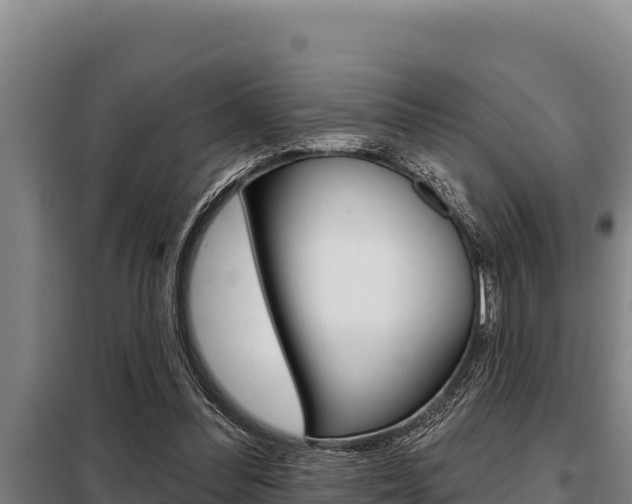 X0000098080300200804040758