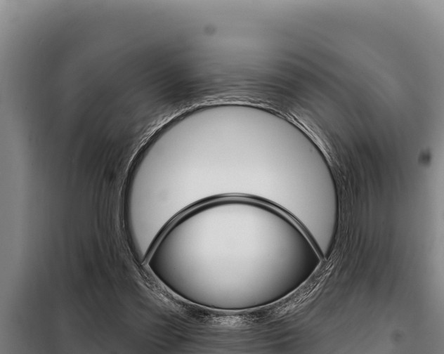 X0000098080301200804040758