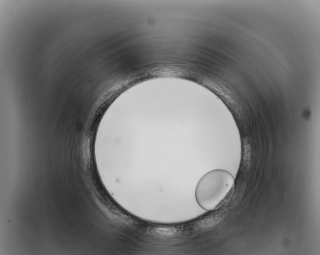X0000098080302200804040758