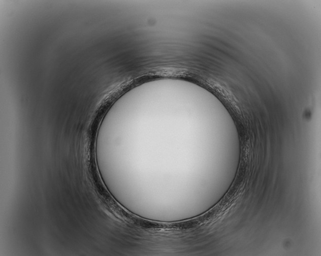 X0000098080303200804040757