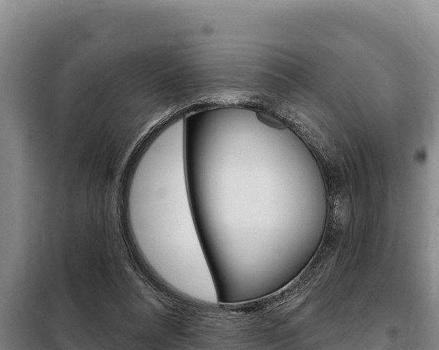 X0000098080304200804040757