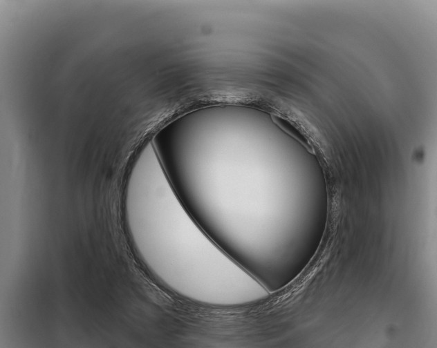X0000098080305200804040757