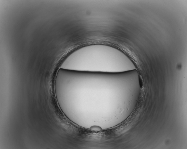 X0000098080306200804040757