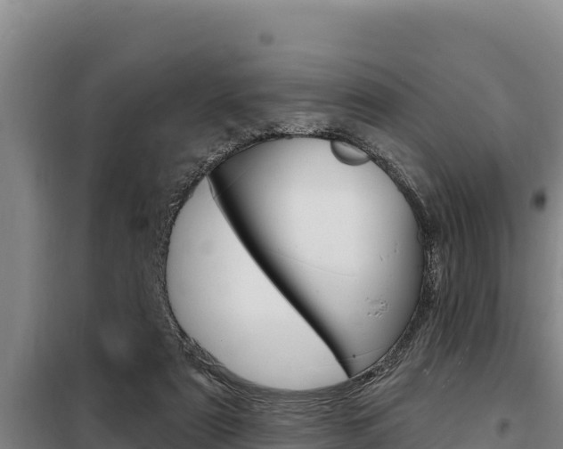 X0000098080307200804040757