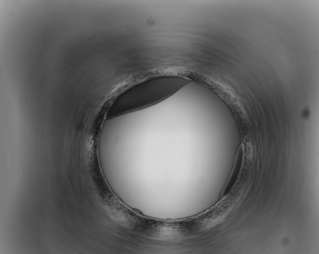 X0000098080308200804040757