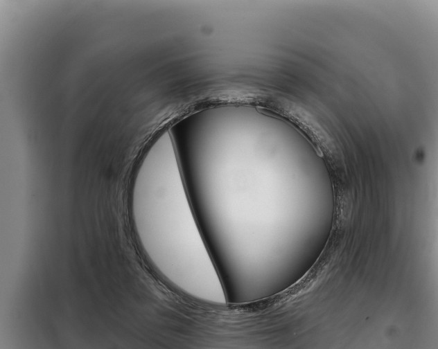 X0000098080309200804040757