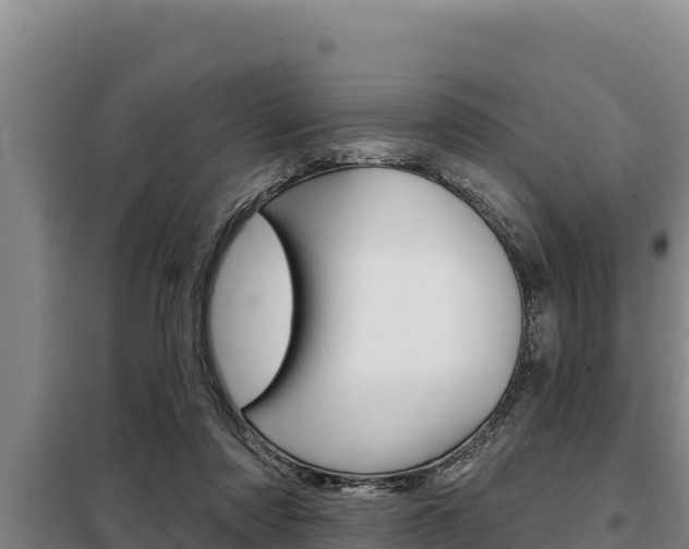 X0000098080310200804040757