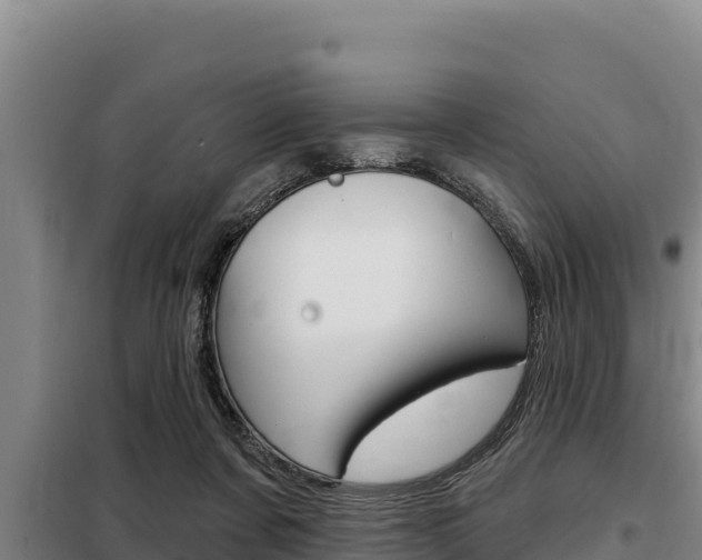 X0000098080311200804040757