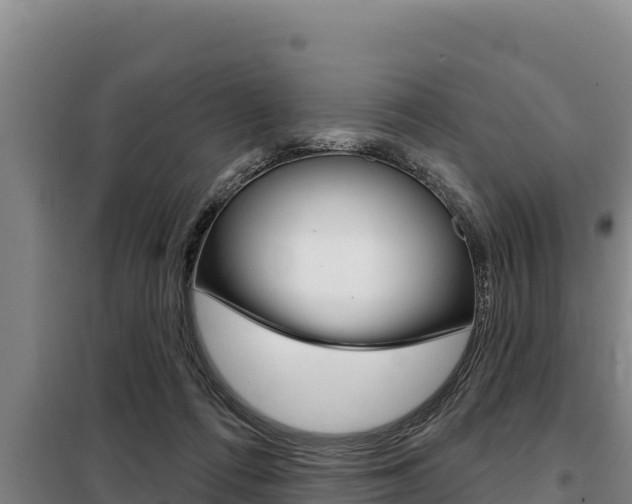 X0000098080312200804040757
