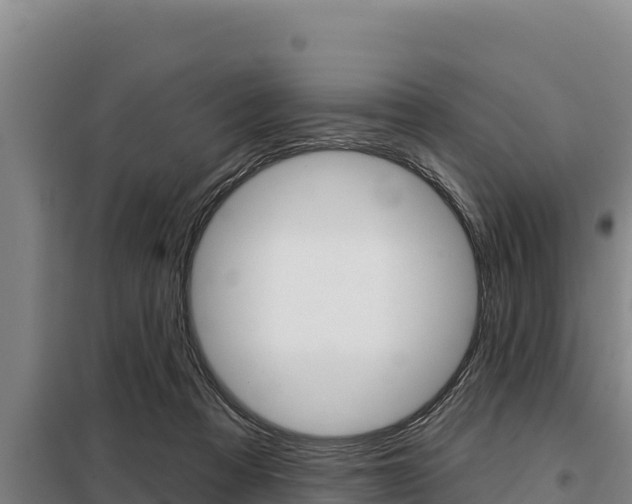 X0000098080313200804040757