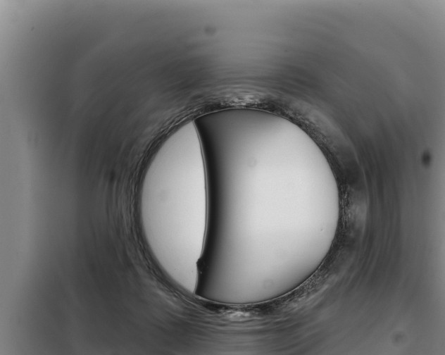 X0000098080315200804040757