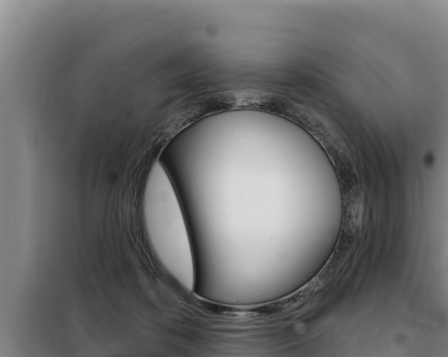 X0000098080316200804040757