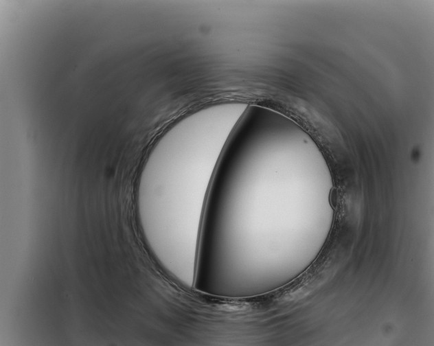 X0000098080317200804040757