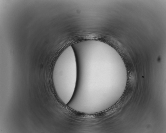 X0000098080322200804040757