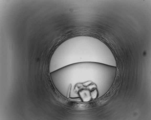 X0000098080323200804040757
