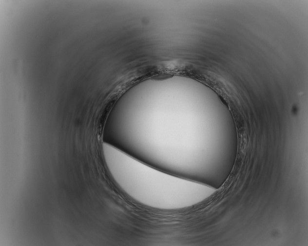 X0000098080324200804040757