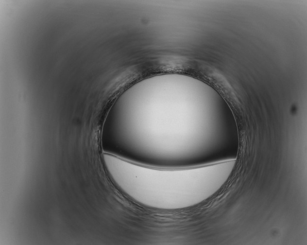 X0000098080325200804040757