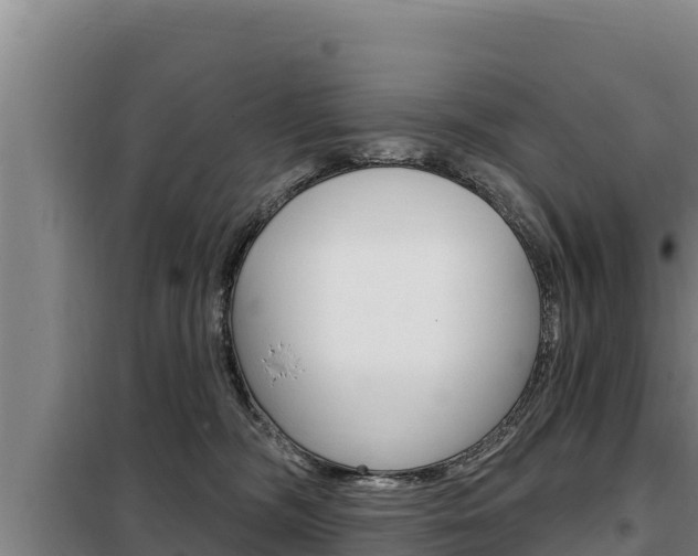 X0000098080326200804040757