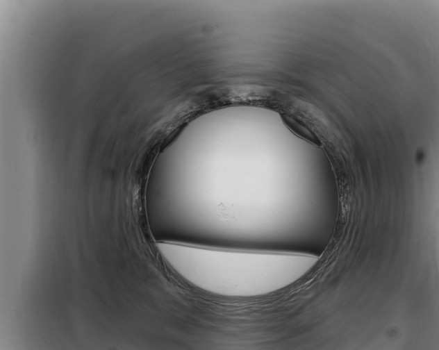 X0000098080327200804040757