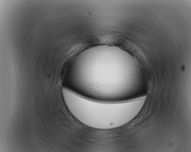 X0000098080329200804040757