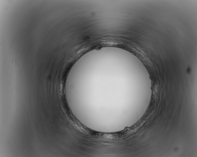 X0000098080330200804040757