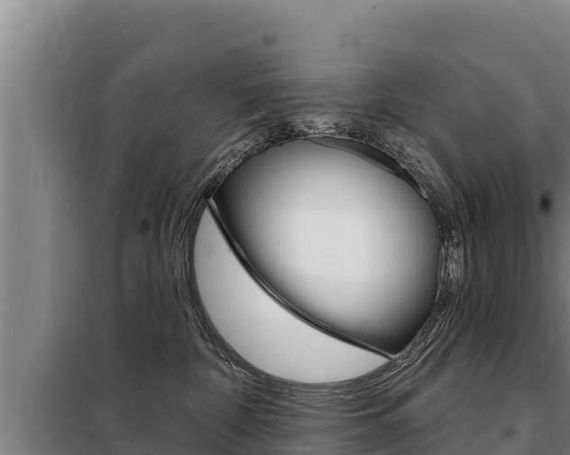 X0000098080332200804040757