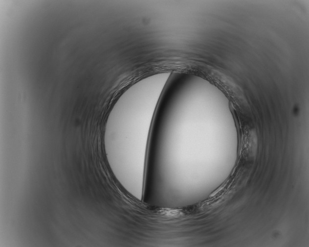 X0000098080333200804040757