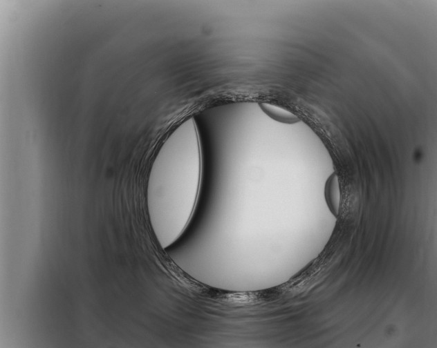 X0000098080335200804040757