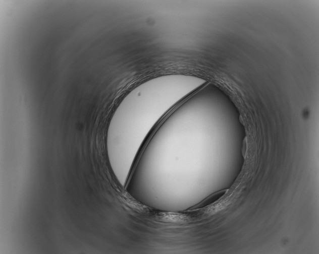 X0000098080336200804040757
