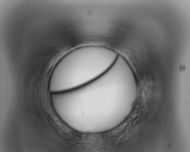 X0000098080337200804040756