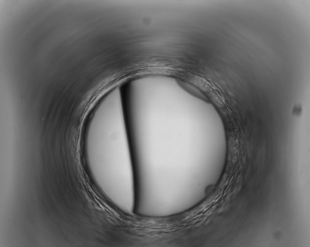 X0000098080338200804040756