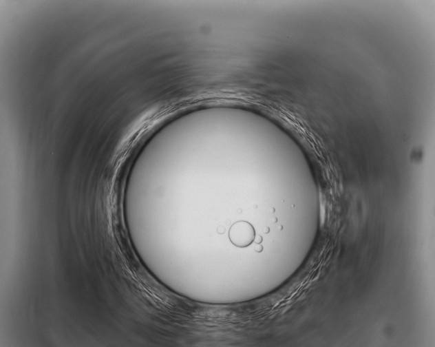 X0000098080339200804040756