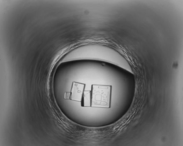 X0000098080340200804040756
