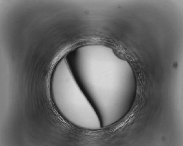 X0000098080341200804040756