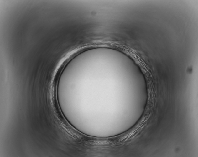 X0000098080342200804040756