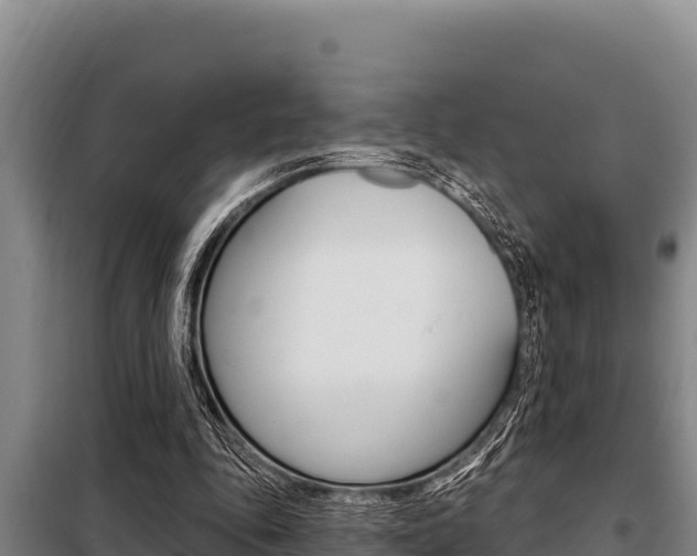 X0000098080343200804040756