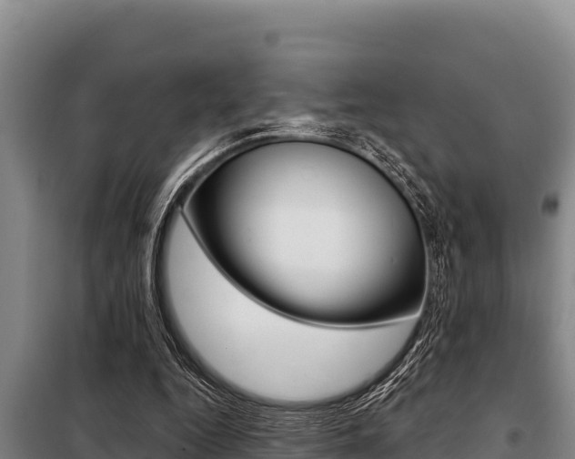 X0000098080344200804040756
