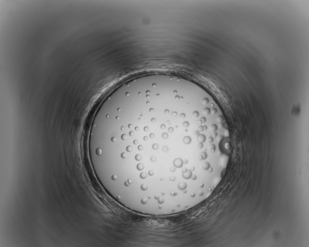 X0000098080346200804040756