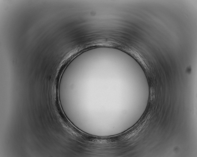 X0000098080349200804040757