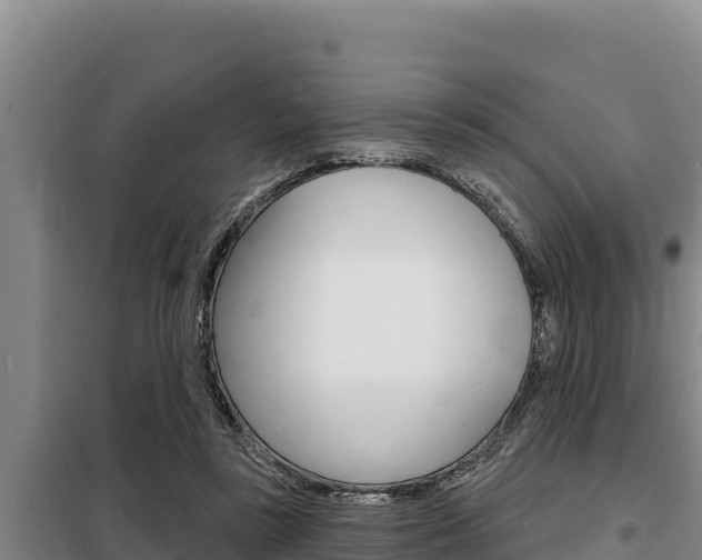 X0000098080355200804040757