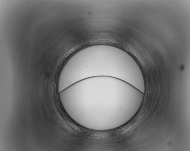 X0000098080356200804040757