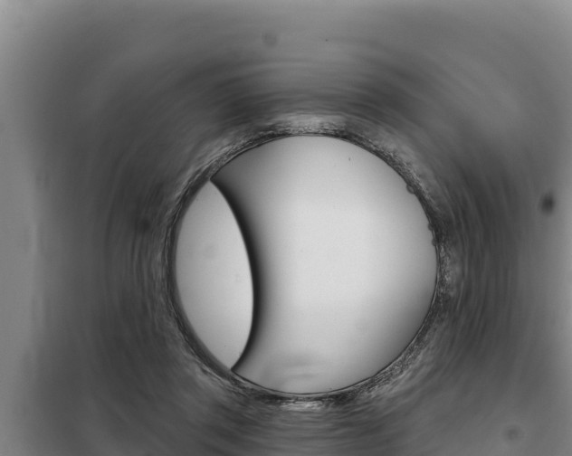 X0000098080357200804040757