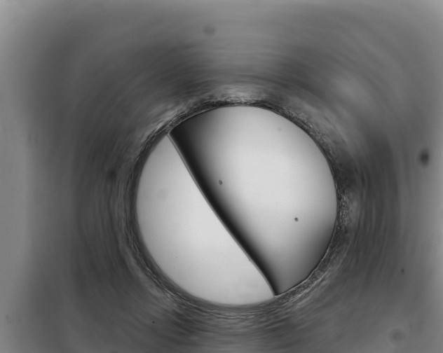 X0000098080358200804040757