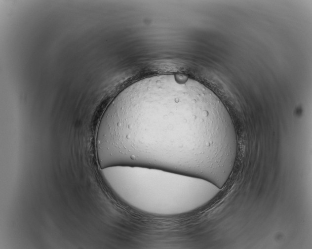 X0000098080359200804040757