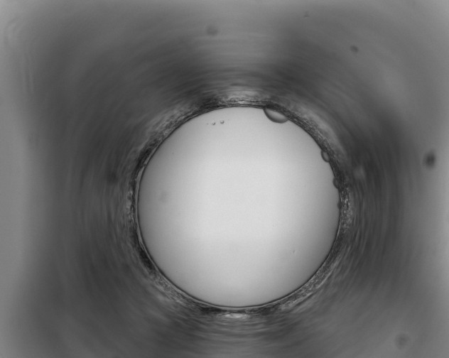 X0000098080361200804040757
