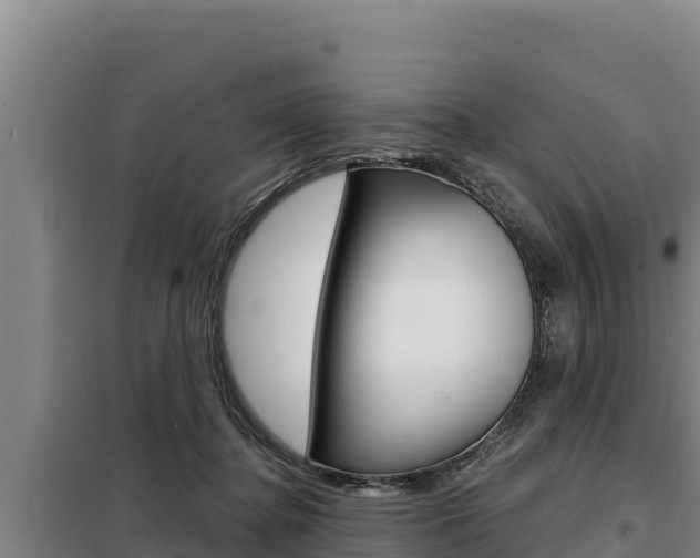 X0000098080364200804040757
