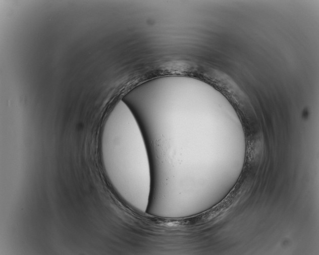 X0000098080365200804040757