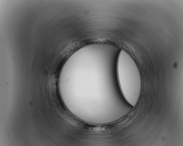 X0000098080366200804040757